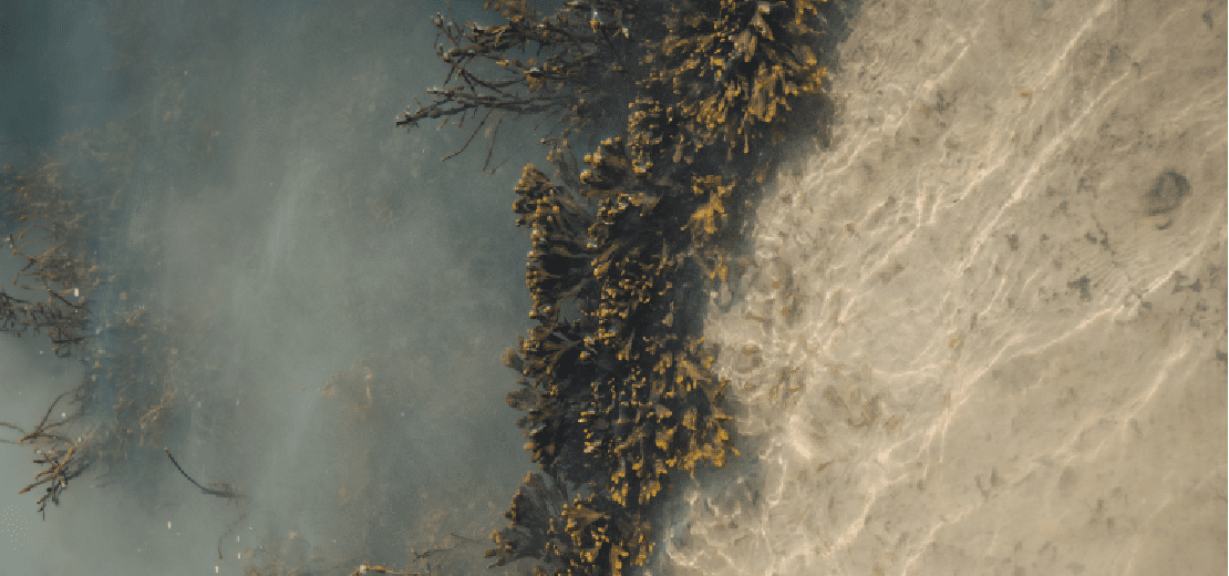 Les épices du moment