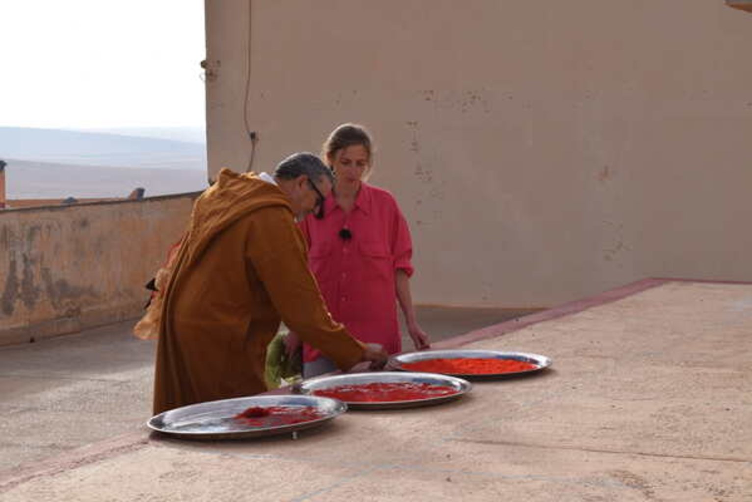 La riche histoire des producteurs de safran