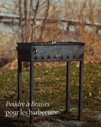 Photo d'un barbecue en pleine nature