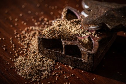 Photo de graines d’anis vert en vrac