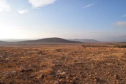 Le Maroc, terre de culture du safran