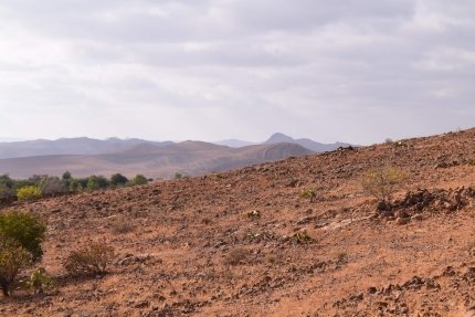 La région de Taliouine au Maroc