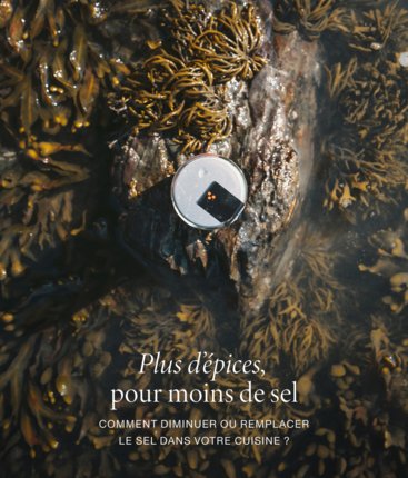 Photo d'un flacon d'épices sur un banc d'algues