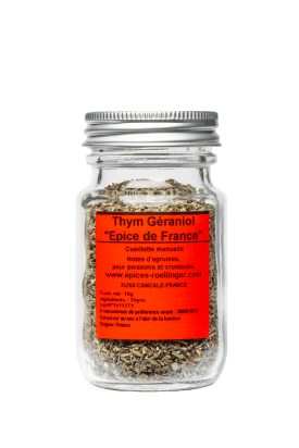 Thym sauvage à géraniol (Wild geraniol thyme)