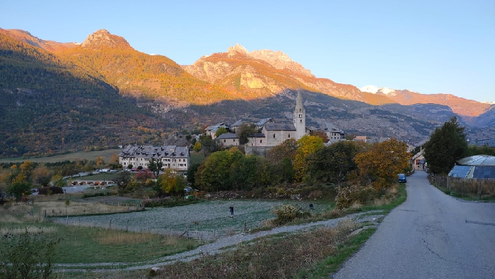 SAFRAN MOULU - L'Herbier des Alpes